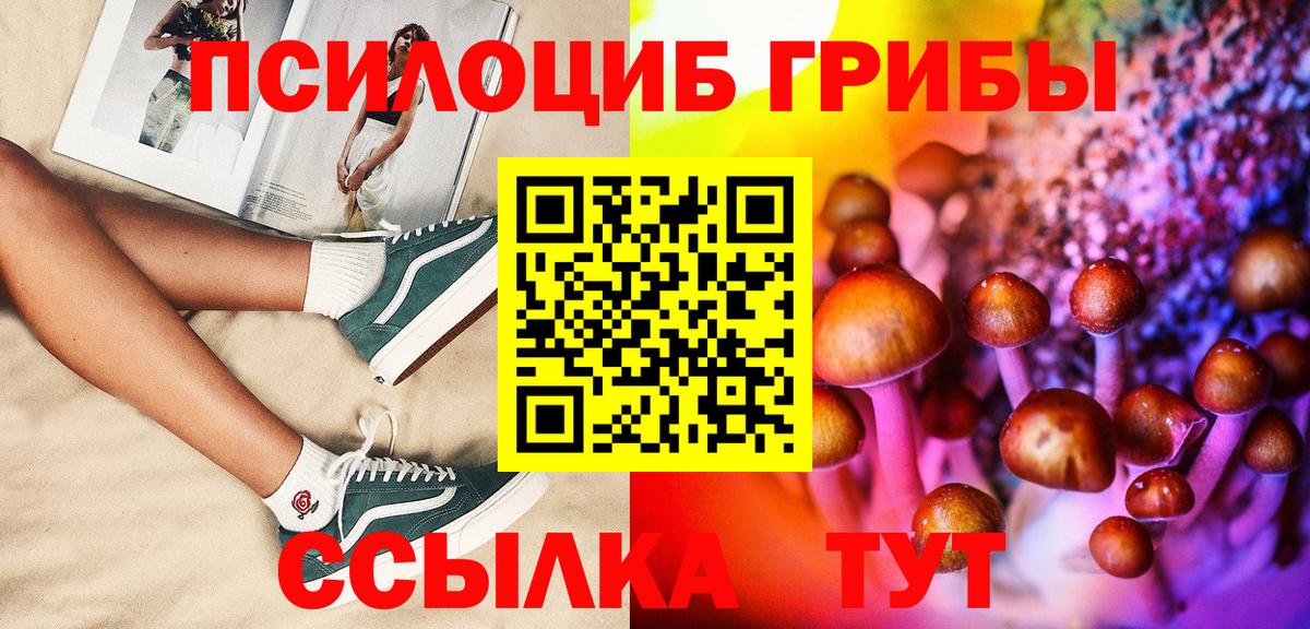 Псилоцибиновые грибы Psilocybe Похвистнево